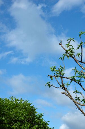 空と雲