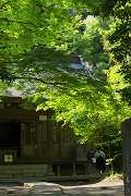 新緑の鎌倉－３