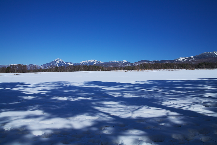 氷の諏訪湖